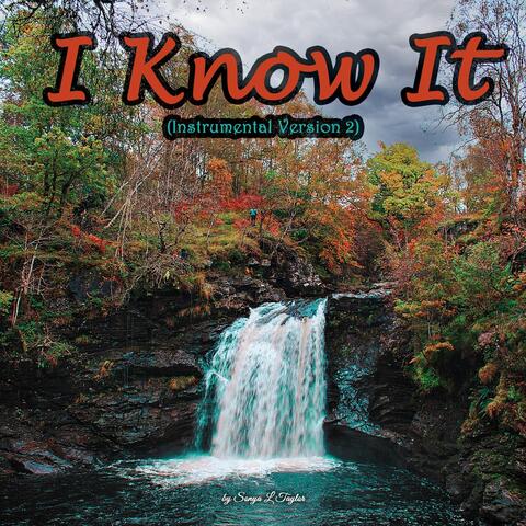 I Know It (Instrumental Version 2)