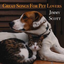 The Cat Song