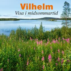 Granövalsen (feat. Håkan Andersson)