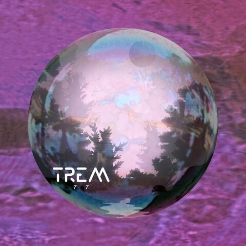 Daydream Collection