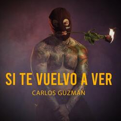 Si Te Vuelvo a Ver