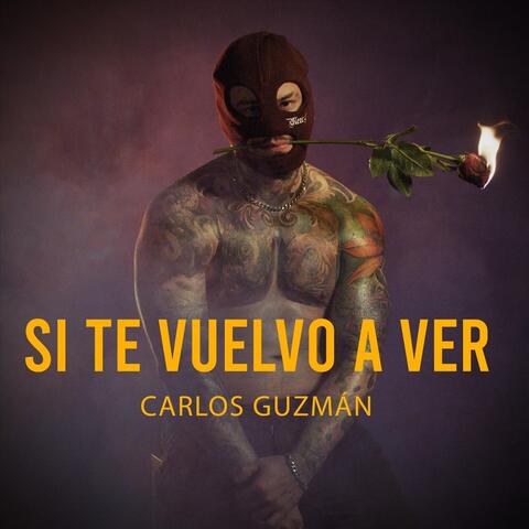 Si Te Vuelvo a Ver