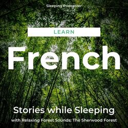 Learn French Stories While Sleeping with Relaxing Forest Sounds: The Sherwood Forest, Pt. 7