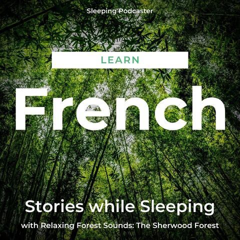 Learn French Stories While Sleeping with Relaxing Forest Sounds: The Sherwood Forest
