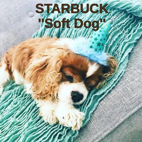 Soft Dog