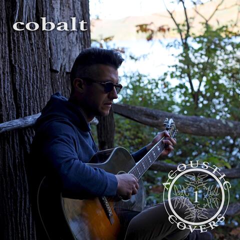 Cobalt: Acoustic Covers, Vol. 1