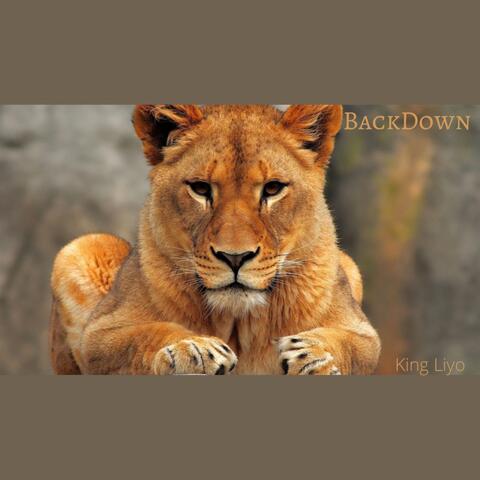 Backdown