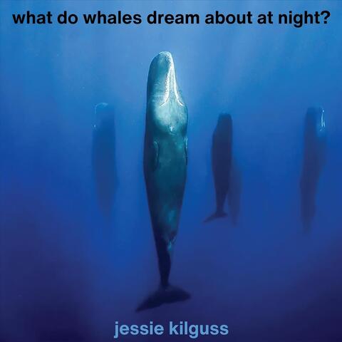 What Do Whales Dream About at Night?