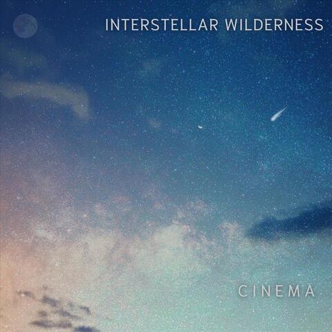 Interstellar Wilderness