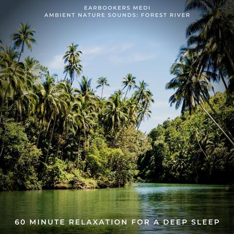 Ambient Nature Sounds: Forest River (60 Minute Relaxation for a Deep Sleep)