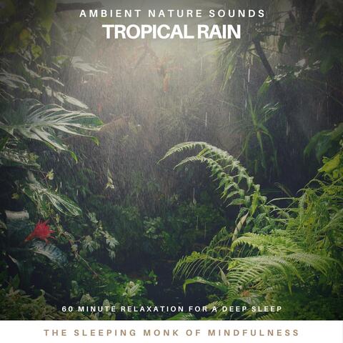 Ambient Nature Sounds: Tropical Rain (60 Minute Relaxation for a Deep Sleep)