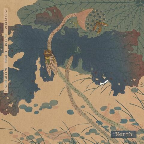 Songs for the Forest