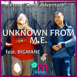 Unknown from M.E. (From "Sonic Adventure") [feat. Bigmane]