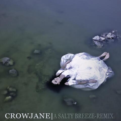 A Salty Breeze (Remix)