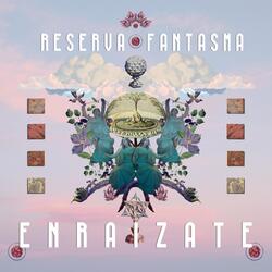 Enraizate