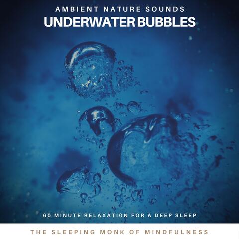 Ambient Nature Sounds: Underwater Bubbles (60 Minute Relaxation for a Deep Sleep)