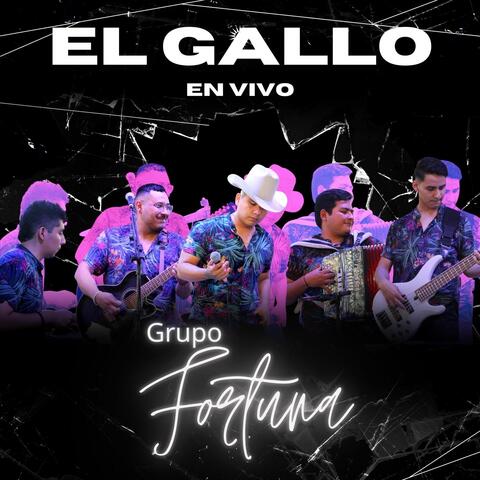 El Gallo (En Vivo)