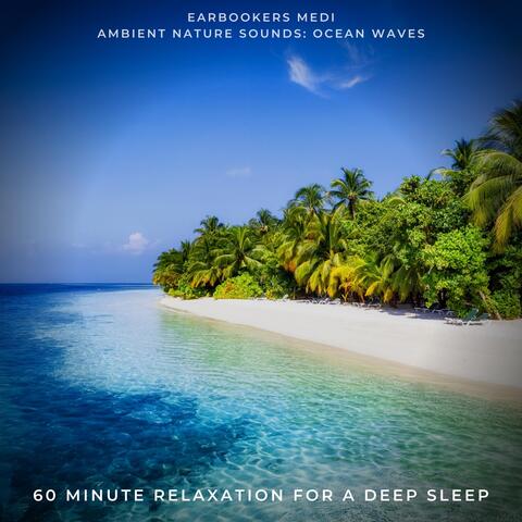 Ambient Nature Sounds: Ocean Waves (60 Minute Relaxation for a Deep Sleep)