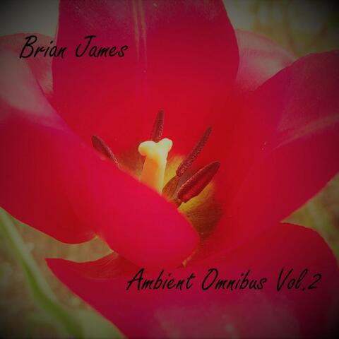 Ambient Omnibus, Vol. 2