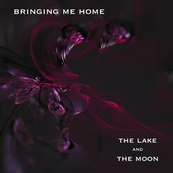 Bringing Me Home