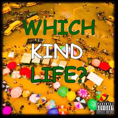 Which Kind Life (feat. Qookes)