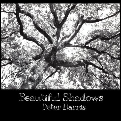 Beautiful Shadows