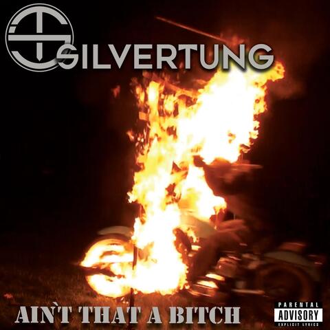 Ain't That a Bitch