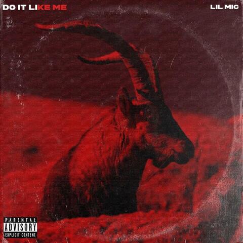 Do It Like Me