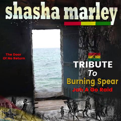 Tribute to Burning Spear (Jah a Go Raid)