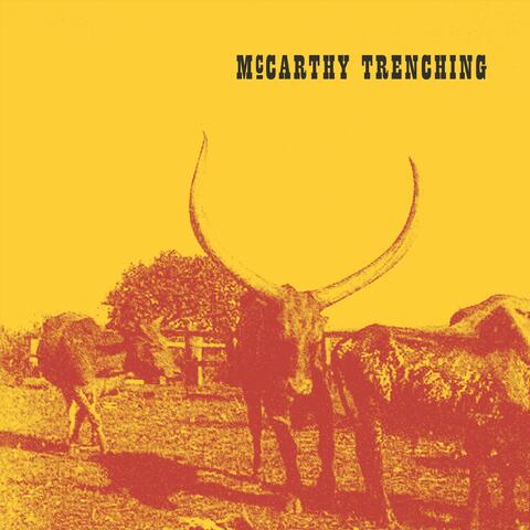 McCarthy Trenching
