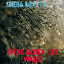Spend Money Like Water