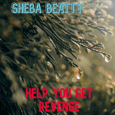 Help You Get Revenge