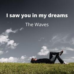 I Saw You in My Dreams