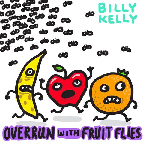 Overrun with Fruit Flies