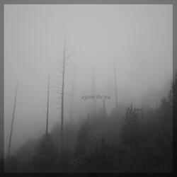 Gentle Liris' Quiet Stream