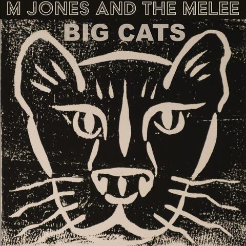 Big Cats
