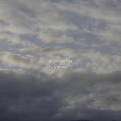 Mica Aurea (For Zoe)