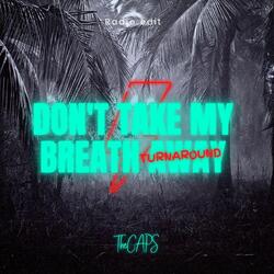 Don't Take My Breath Away (Turnaround) [Radio Edit]