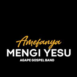 Amefanya Mengi Yesu