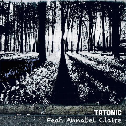 Bluebell Woods (feat. Annabel Claire)