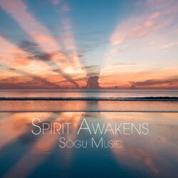 Spirit Awakens