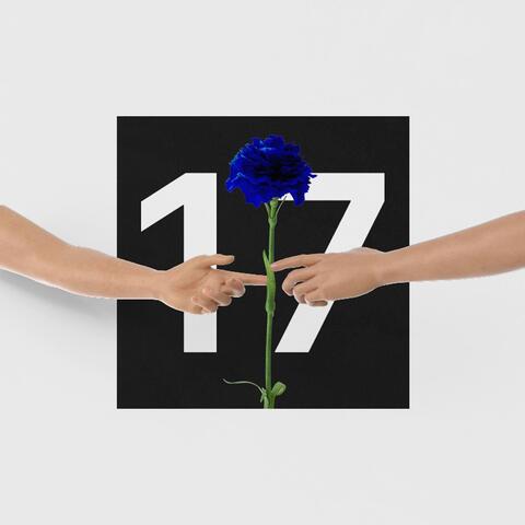 17