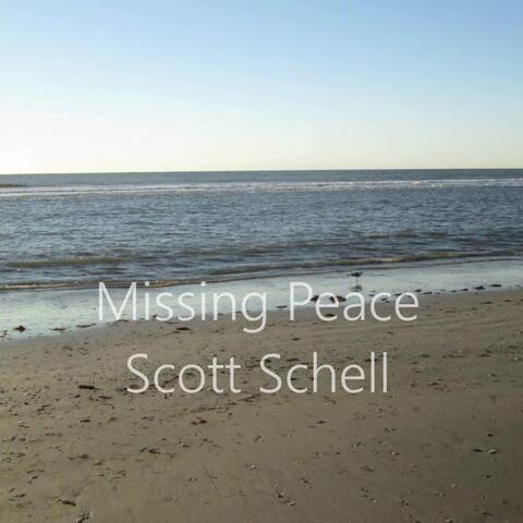 Missing Peace