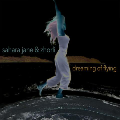 Dreaming of Flying