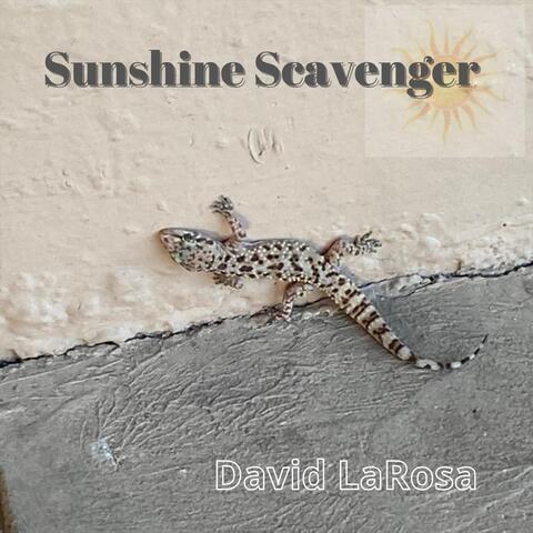Sunshine Scavenger