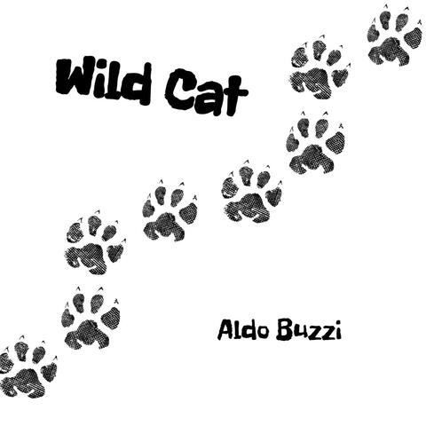 Wild Cat
