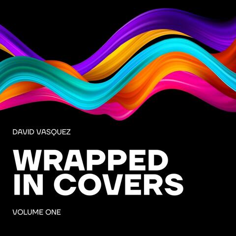 Wrapped in Covers, Vol. 1