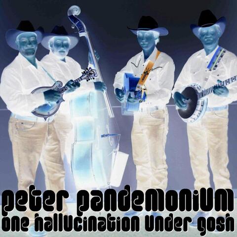 One Hallucination Under Gosh
