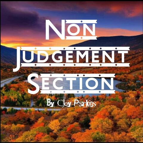 Non Judgement Section