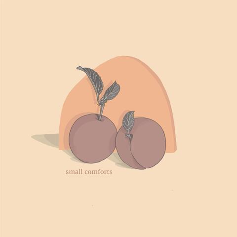 Small Comforts